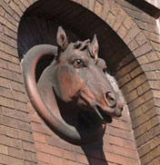 horse
