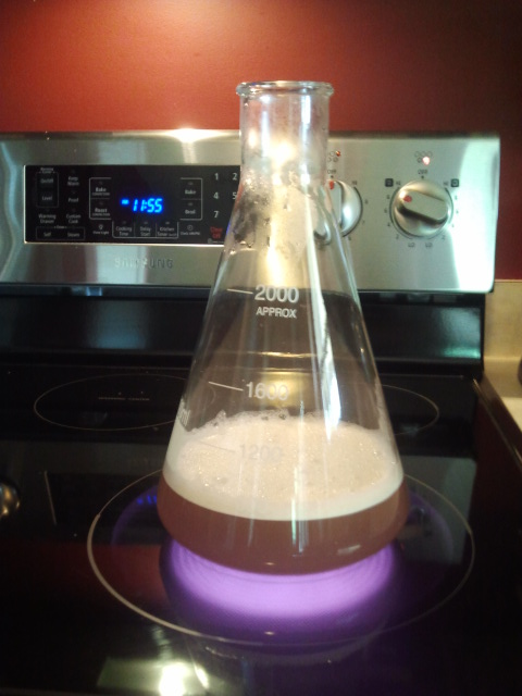 Yeast Starter
